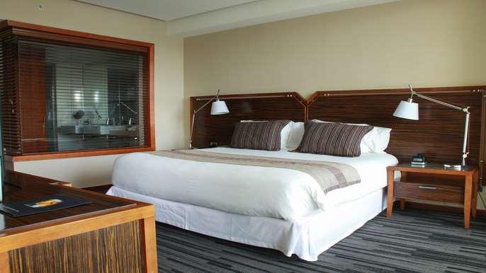 Hotel Dreams Valdivia Værelse billede A bedroom at the hotel